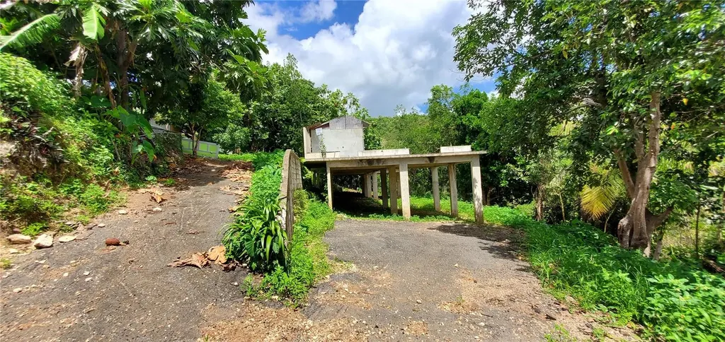 S Hato Viejo Ciales PR 00638