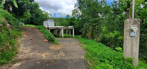 S Hato Viejo Ciales PR 00638