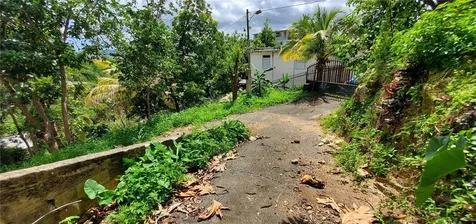 S Hato Viejo Ciales PR 00638