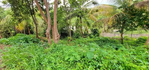 S Hato Viejo Ciales PR 00638
