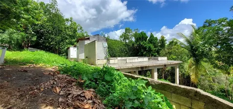 S Hato Viejo Ciales PR 00638