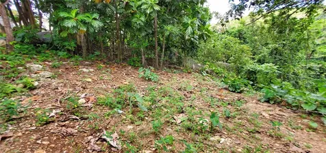 S Hato Viejo Ciales PR 00638