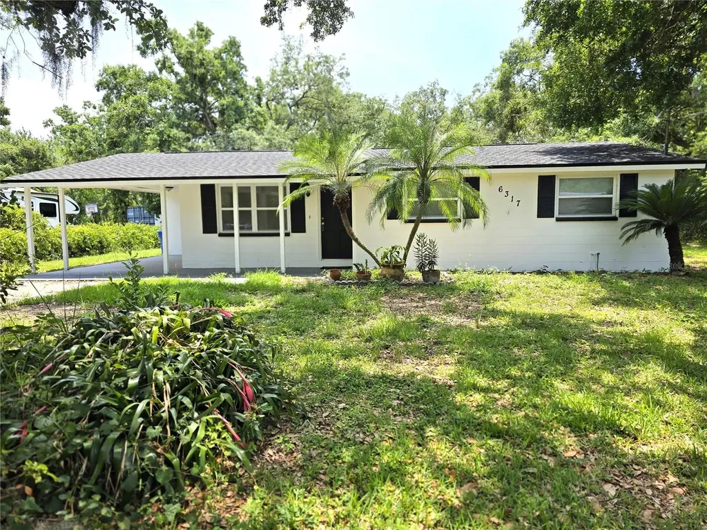 6317 Buster Drive Tampa FL 33619