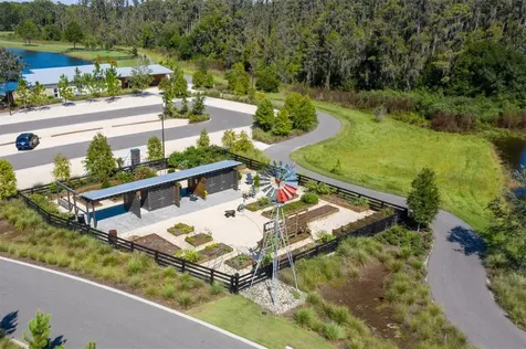 3767 Dragonfly Trail Odessa FL 33556