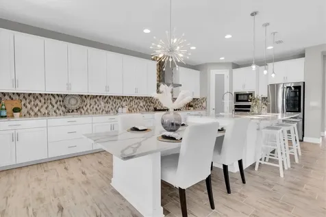 3767 Dragonfly Trail Odessa FL 33556