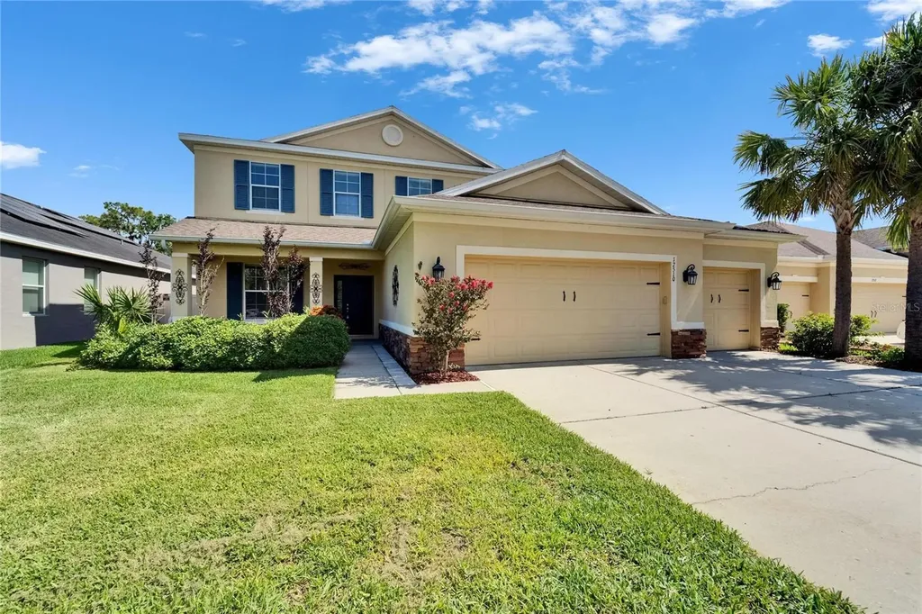 17510 Bright Wheat Drive Lithia FL 33547