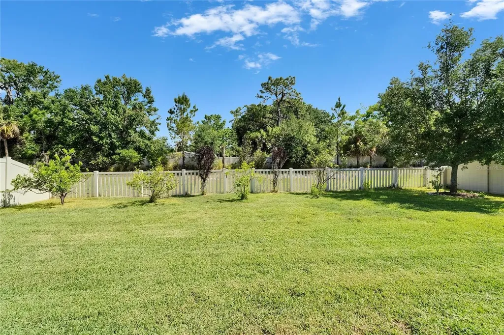17510 Bright Wheat Drive Lithia FL 33547