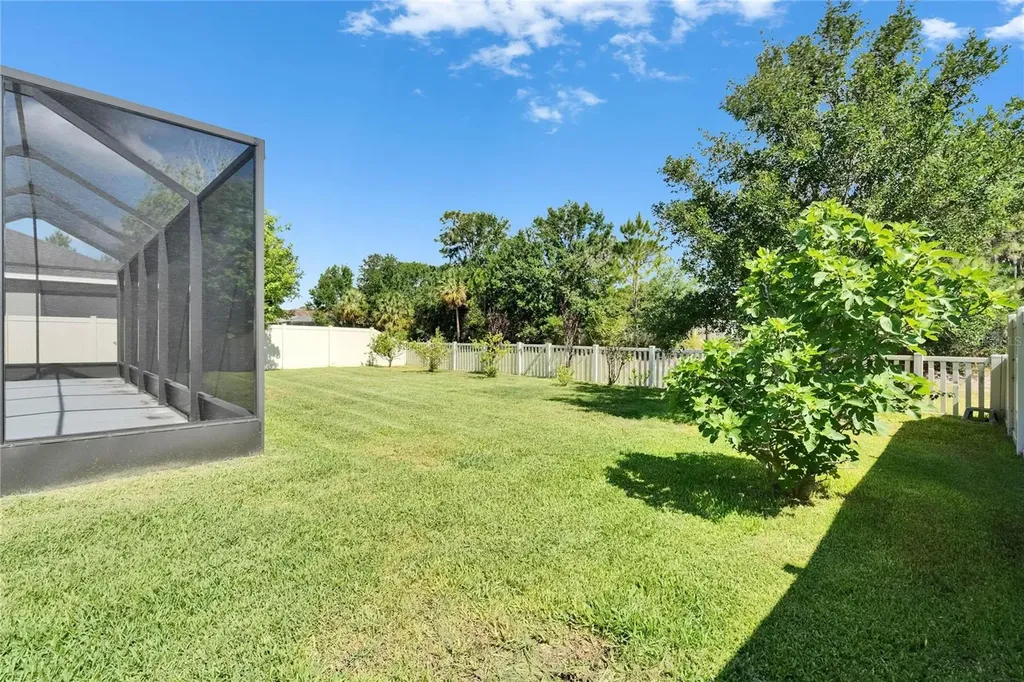 17510 Bright Wheat Drive Lithia FL 33547