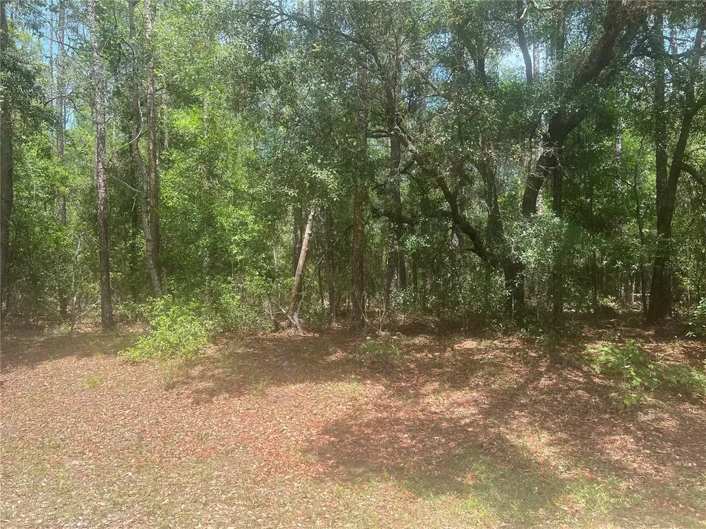 8729 N Wallingford Avenue Dunnellon FL 34434