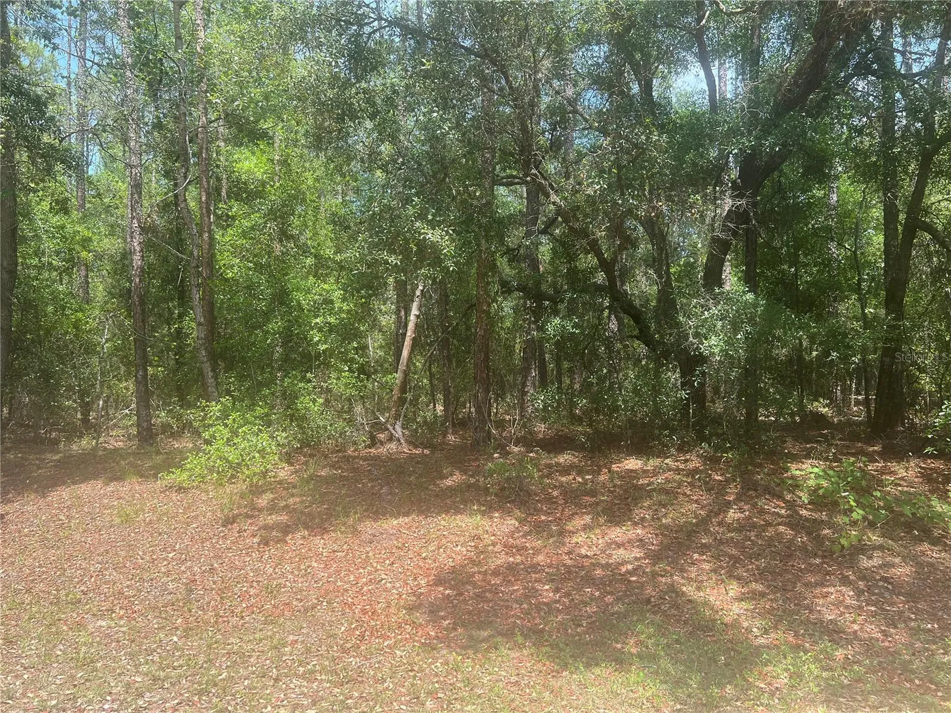 8729 N Wallingford Avenue Dunnellon FL 34434