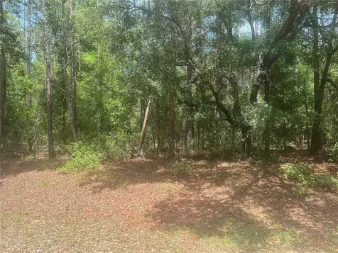 8729 N Wallingford Avenue Dunnellon FL 34434