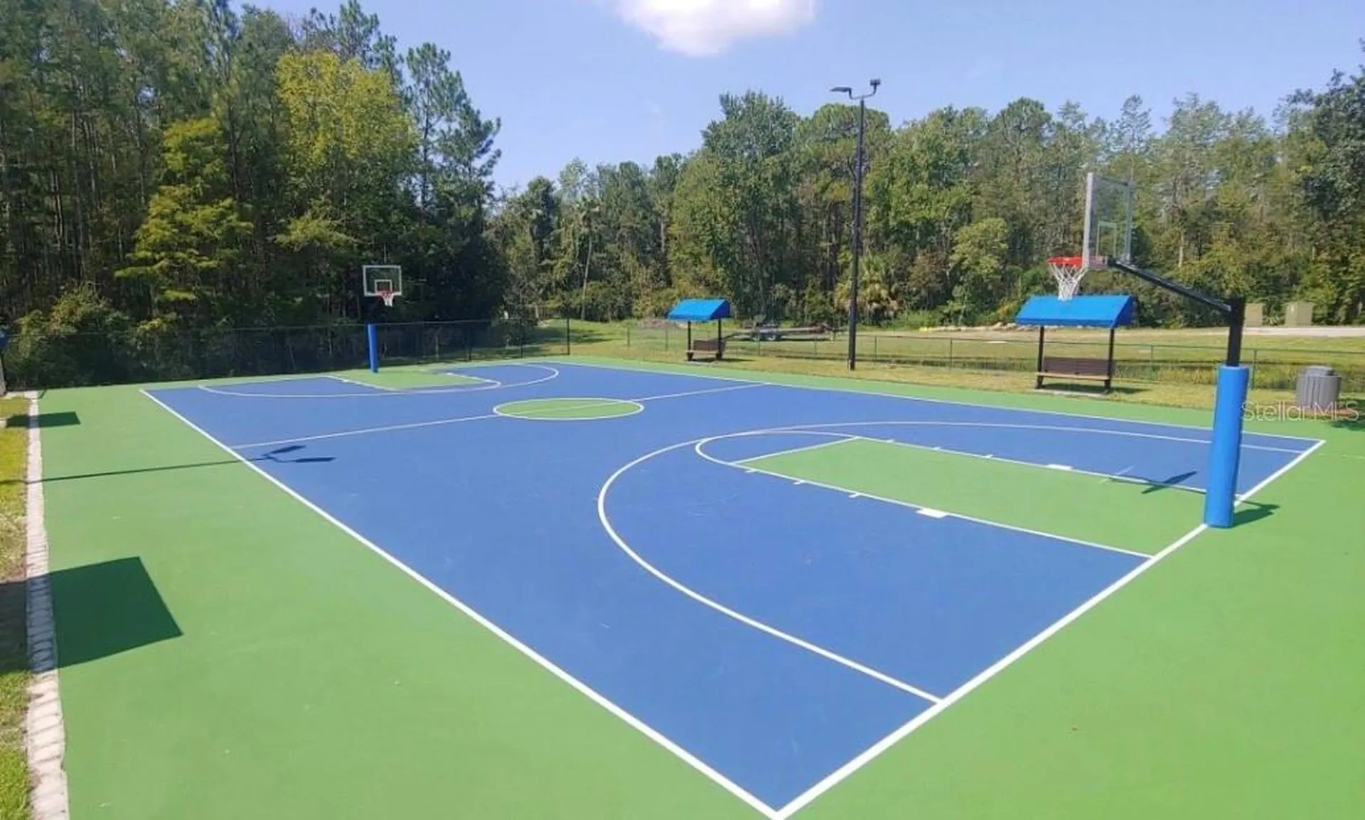 14780 Hartford Run Drive Orlando FL 32828