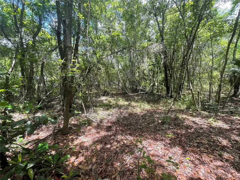 000 SE Hawthorne Road Hawthorne FL 32640