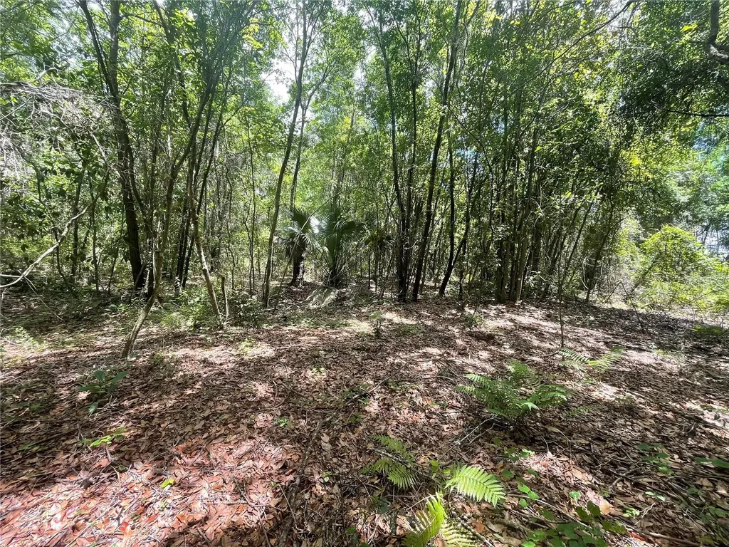 000 SE Hawthorne Road Hawthorne FL 32640