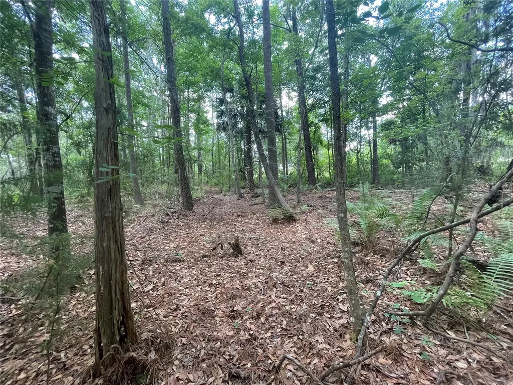 000 SE Hawthorne Road Hawthorne FL 32640