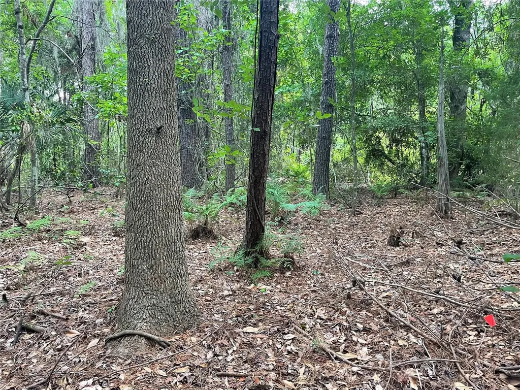 000 SE Hawthorne Road Hawthorne FL 32640