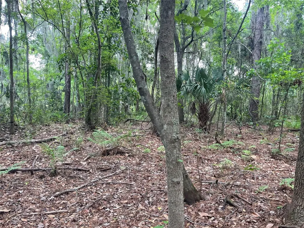 000 SE Hawthorne Road Hawthorne FL 32640