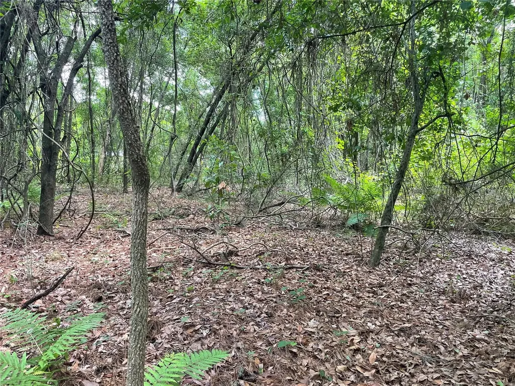 000 SE Hawthorne Road Hawthorne FL 32640