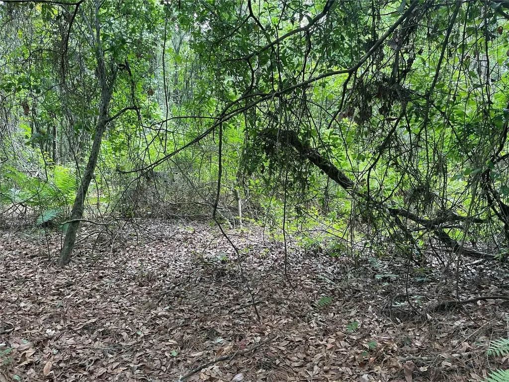 000 SE Hawthorne Road Hawthorne FL 32640