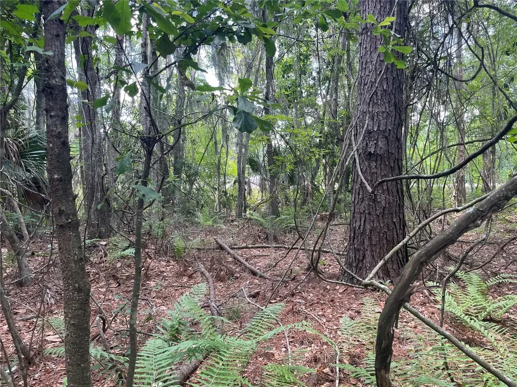 000 SE Hawthorne Road Hawthorne FL 32640