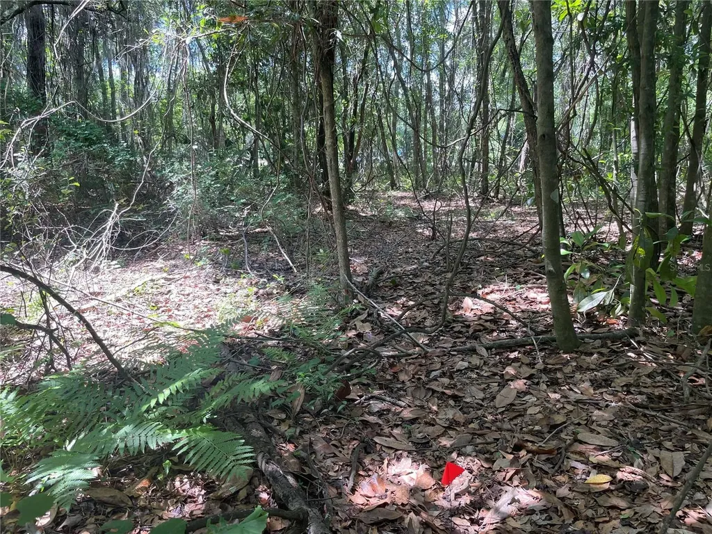 000 SE Hawthorne Road Hawthorne FL 32640