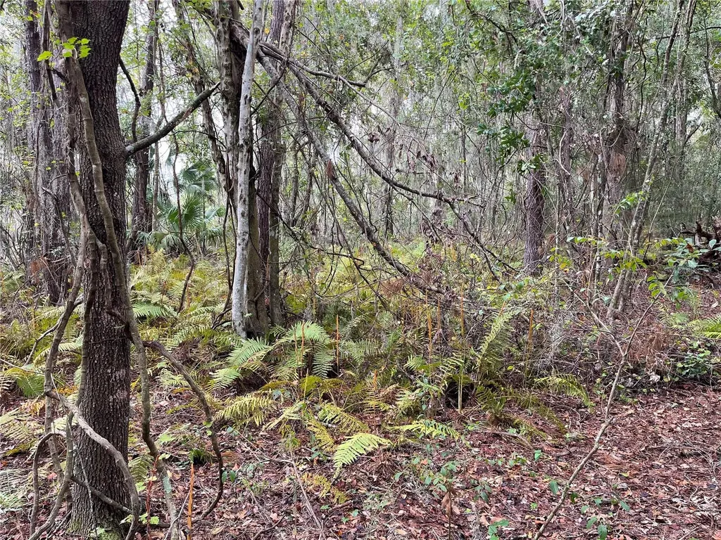 000 SE Hawthorne Road Hawthorne FL 32640