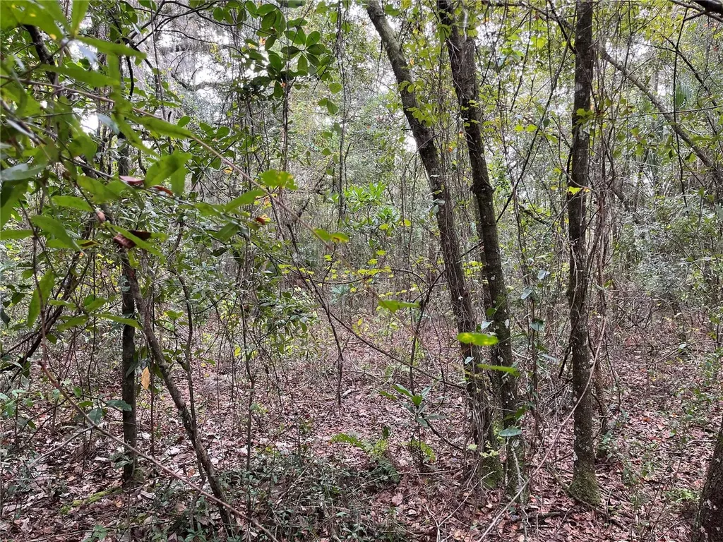 000 SE Hawthorne Road Hawthorne FL 32640
