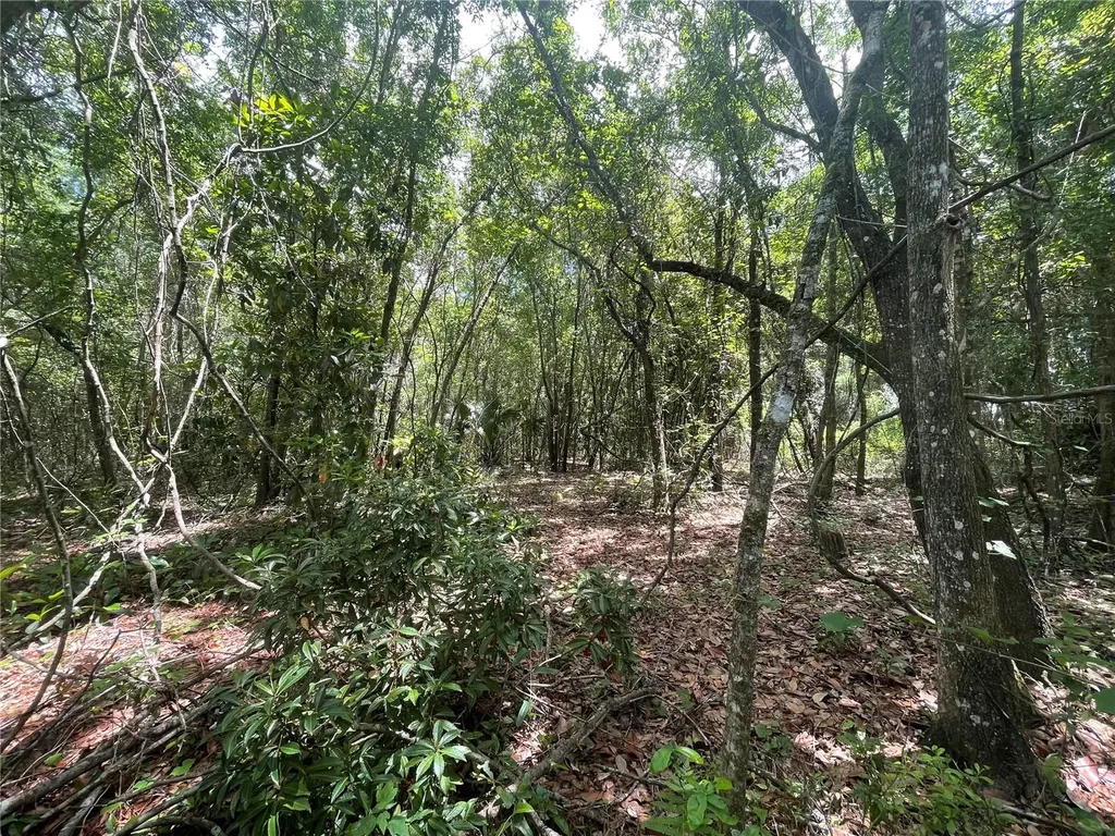000 SE Hawthorne Road Hawthorne FL 32640