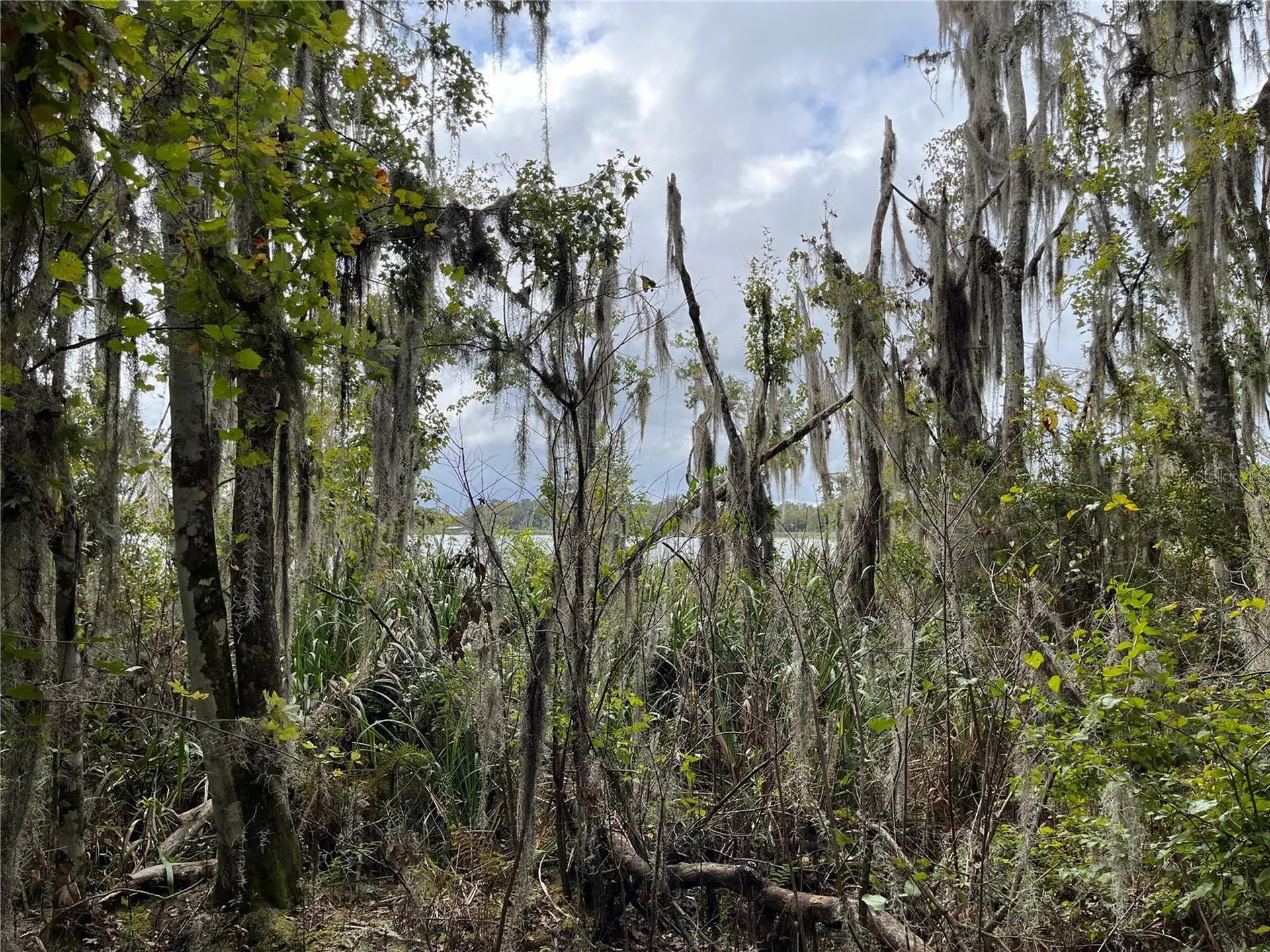 000 SE Hawthorne Road Hawthorne FL 32640