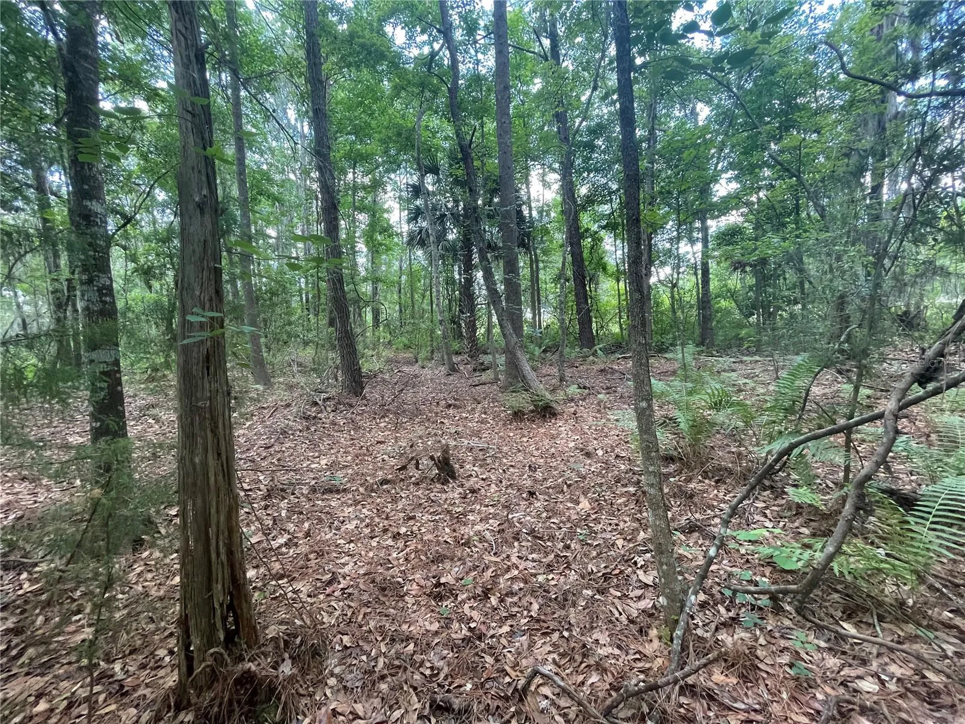 000 SE Hawthorne Road Hawthorne FL 32640