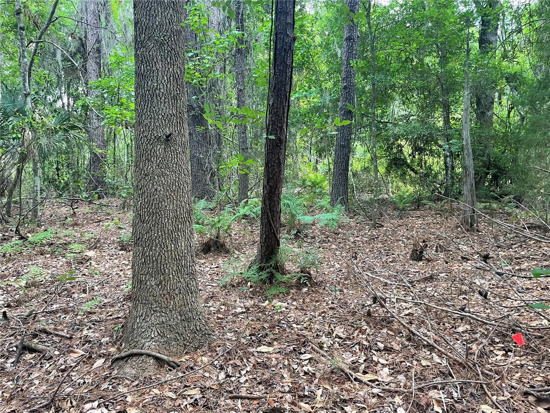 000 SE Hawthorne Road Hawthorne FL 32640