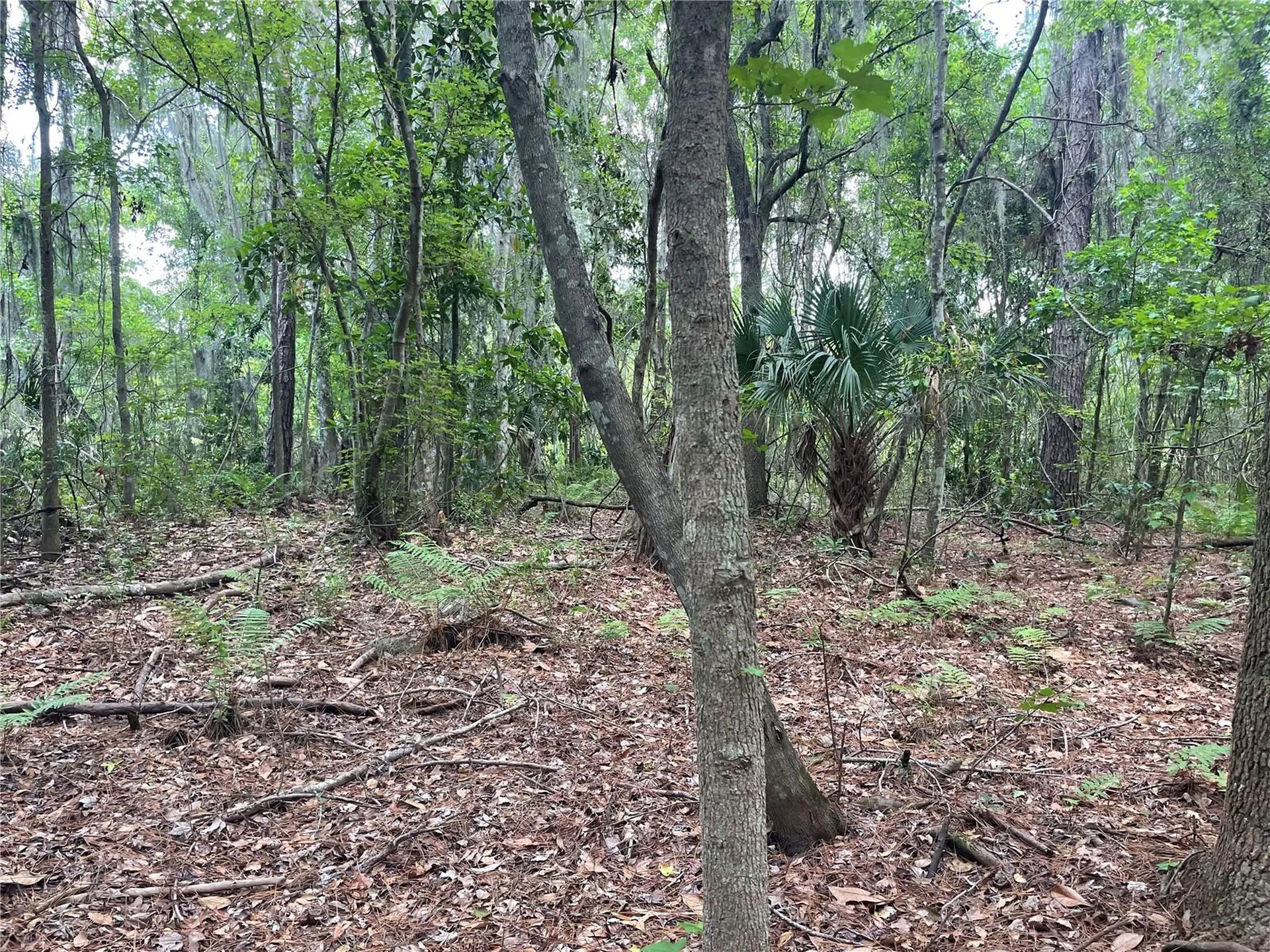 000 SE Hawthorne Road Hawthorne FL 32640
