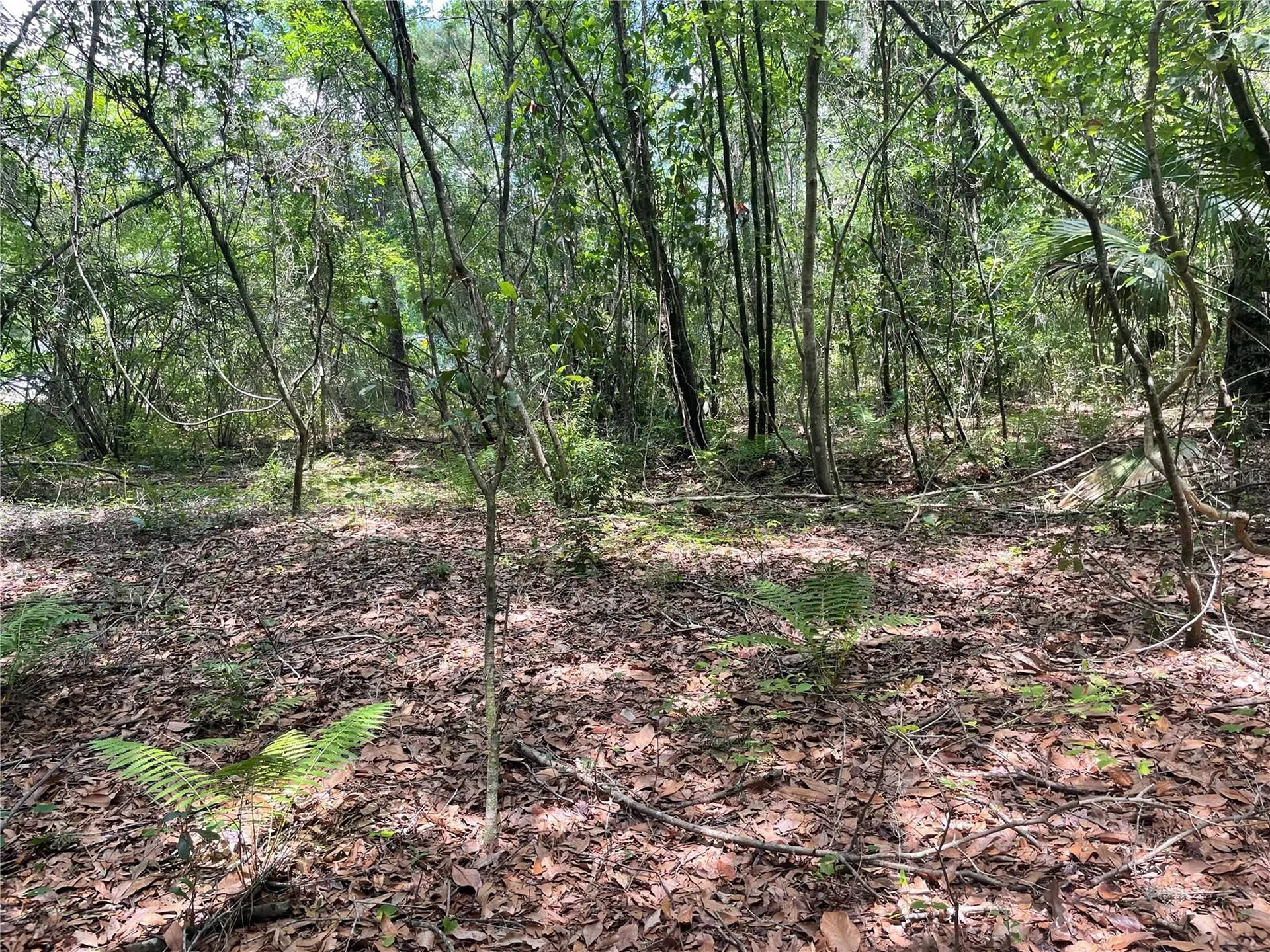 000 SE Hawthorne Road Hawthorne FL 32640
