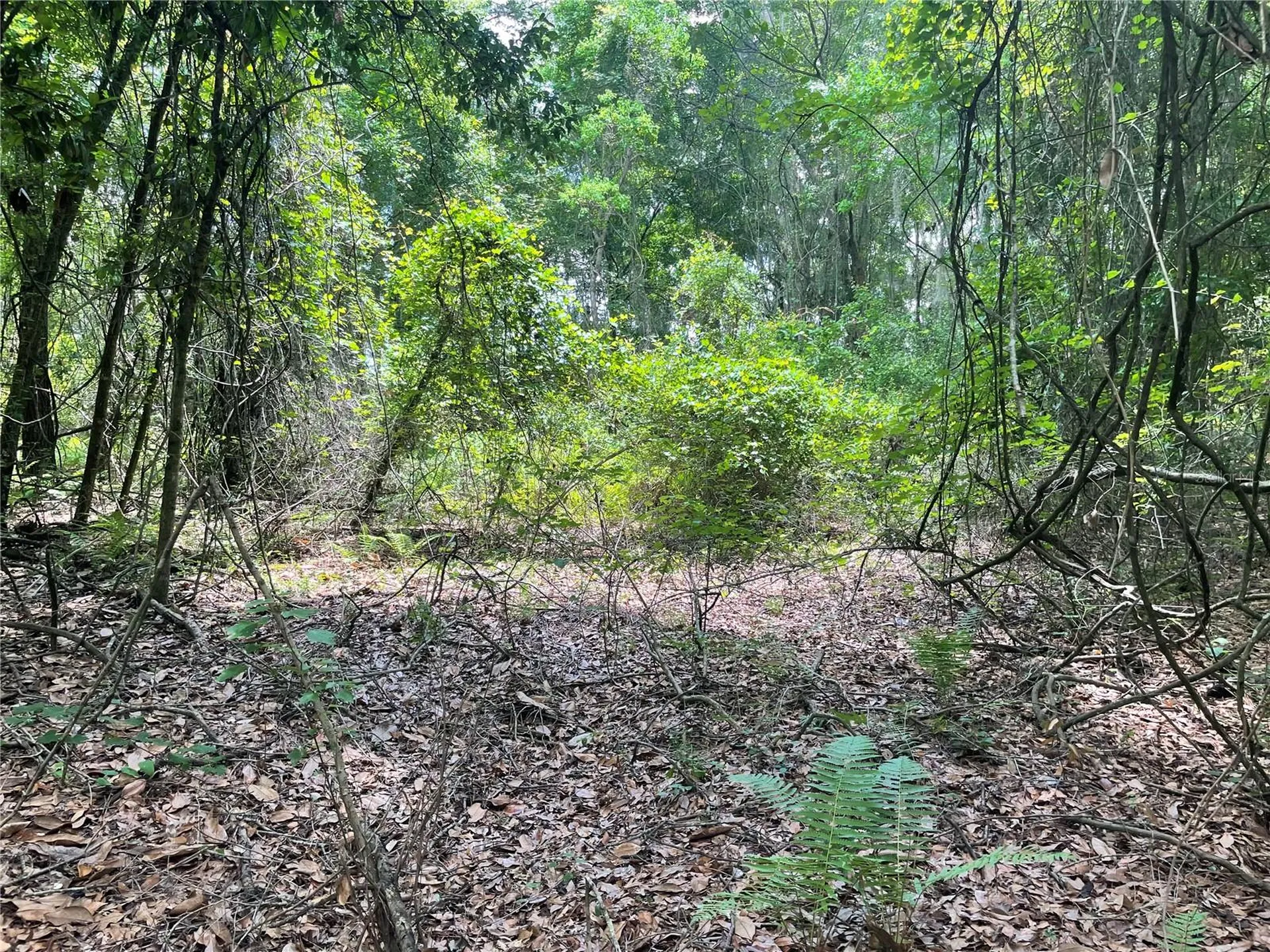 000 SE Hawthorne Road Hawthorne FL 32640