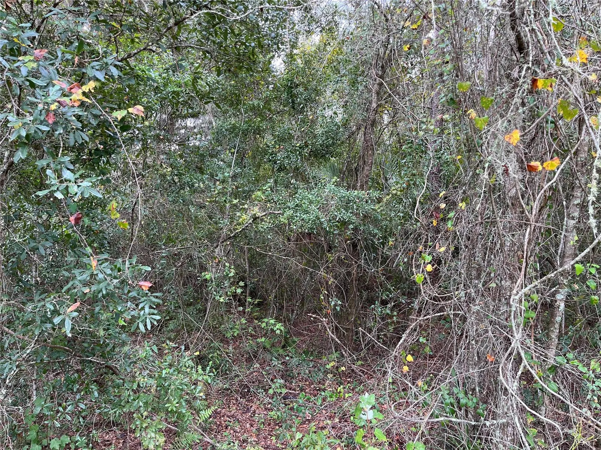 000 SE Hawthorne Road Hawthorne FL 32640