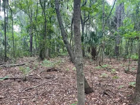 000 SE Hawthorne Road Hawthorne FL 32640