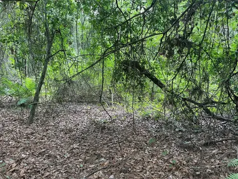000 SE Hawthorne Road Hawthorne FL 32640