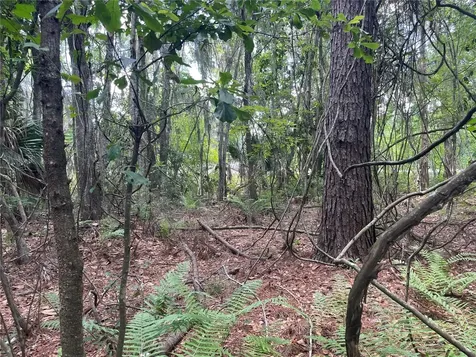 000 SE Hawthorne Road Hawthorne FL 32640