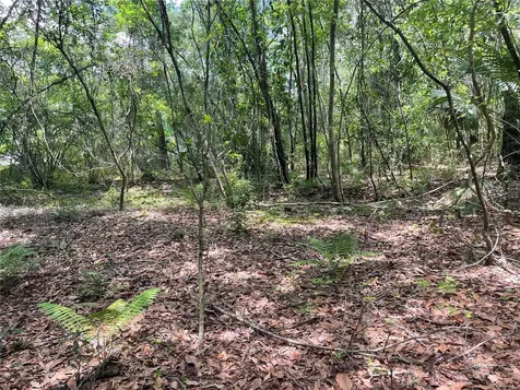 000 SE Hawthorne Road Hawthorne FL 32640
