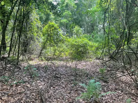 000 SE Hawthorne Road Hawthorne FL 32640