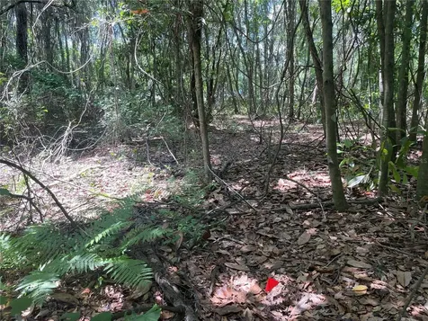 000 SE Hawthorne Road Hawthorne FL 32640
