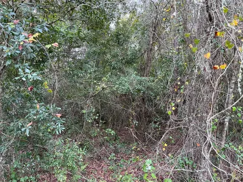 000 SE Hawthorne Road Hawthorne FL 32640