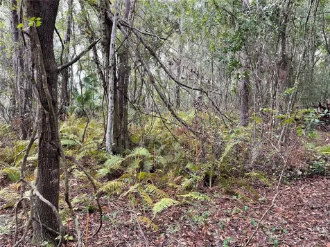 000 SE Hawthorne Road Hawthorne FL 32640