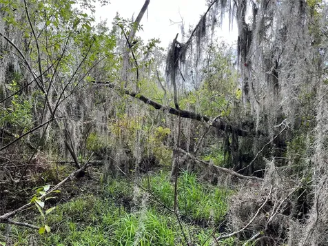 000 SE Hawthorne Road Hawthorne FL 32640