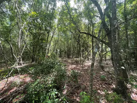 000 SE Hawthorne Road Hawthorne FL 32640