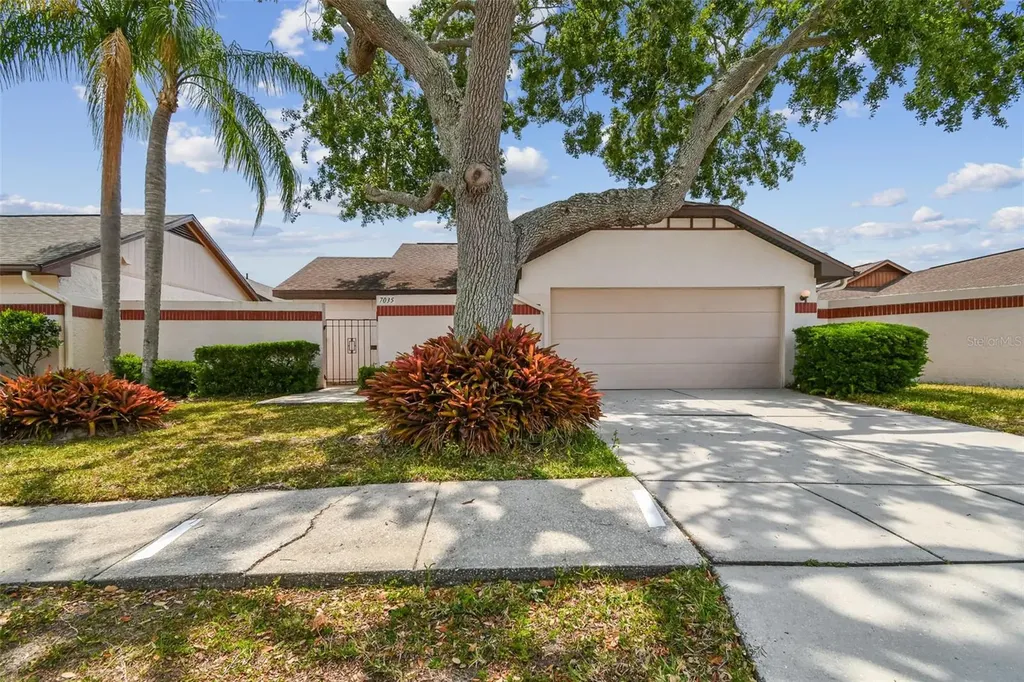 7035 Drury Street Tampa FL 33635