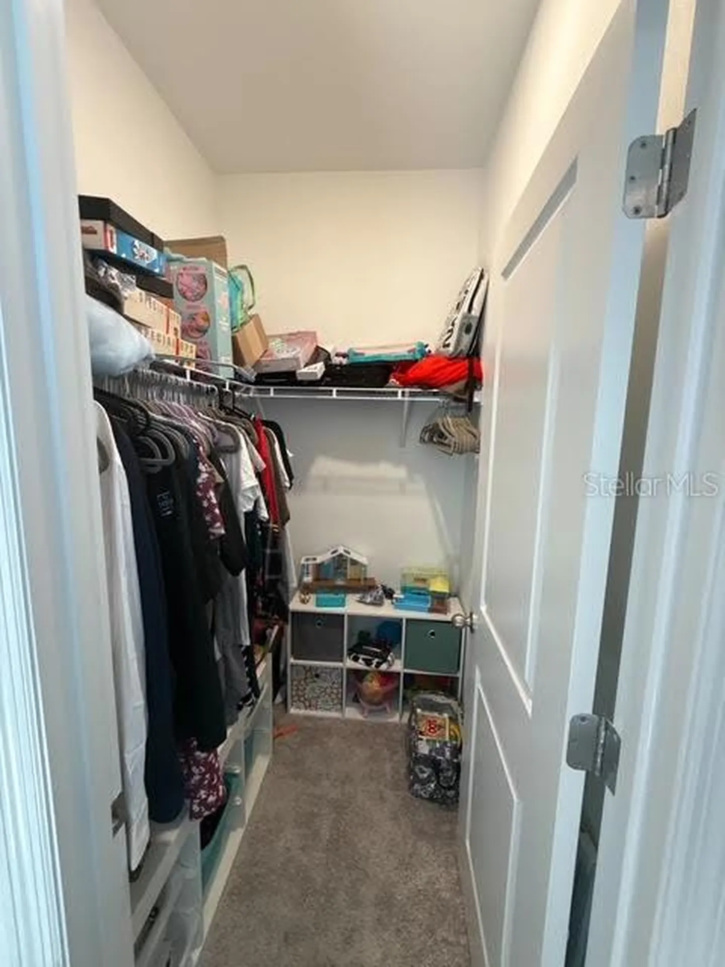 10607 Ladybug Cove Parrish FL 34219
