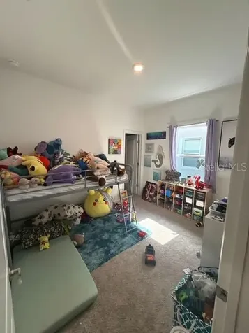 10607 Ladybug Cove Parrish FL 34219