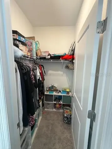 10607 Ladybug Cove Parrish FL 34219