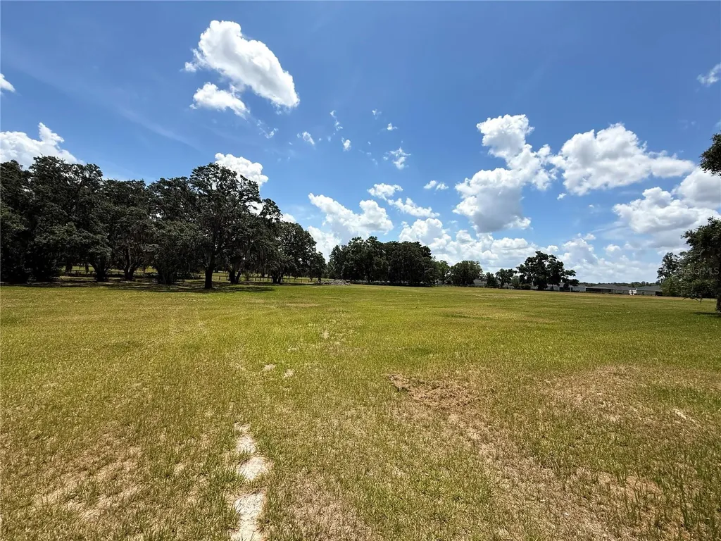 7119 SW 80th Avenue Ocala FL 34481